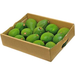 Avocado Kenya Box
